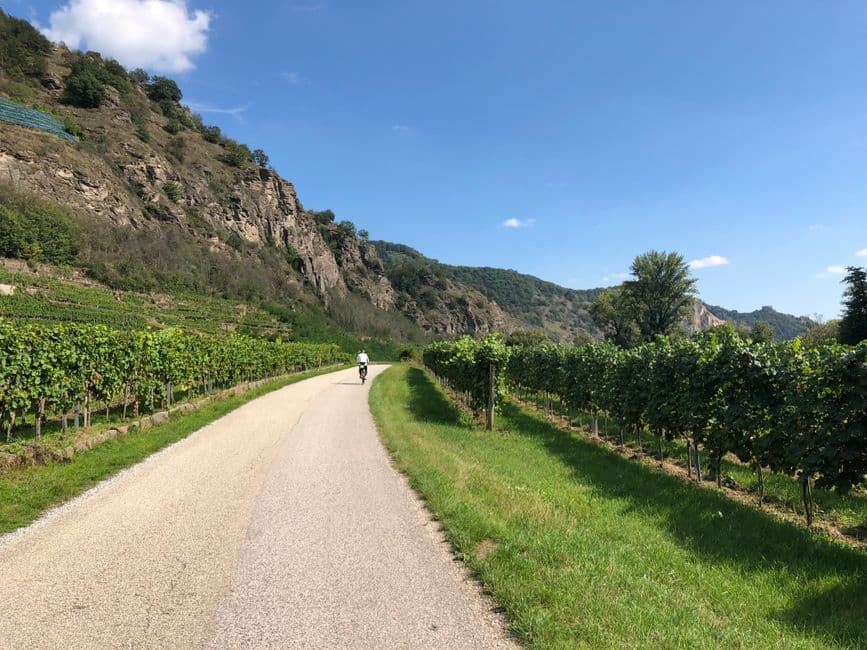 Cyclisme sur la Piste du Vignoble : itinéraire et conseils